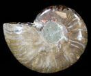 Agatized Ammonite Fossil (Half) #38767-1